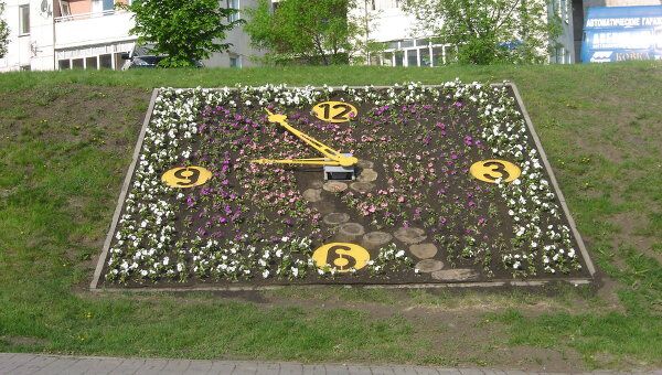 Циферблат из петуний: цветочные часы появились в Белгороде