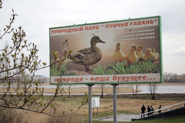 Омск птицы заповедник природа