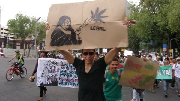 Марш в защиту легализации марихуаны в Мехико. Участник марша в защиту марихуаны.