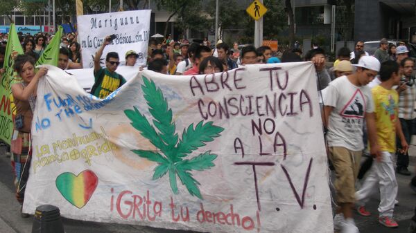 Марш в защиту легализации марихуаны в Мехико. Люди несли плакаты, призывающие бороться за легализацию «травки» Архивное фото.