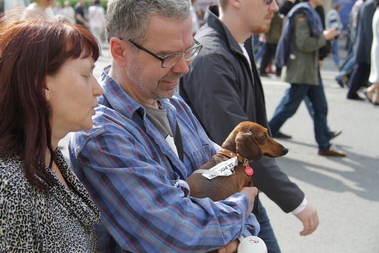 Шествие 6 мая в центре Москвы 