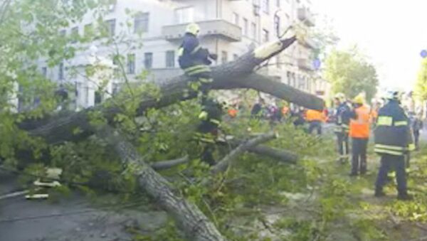 Упавшее дерево перекрыло движение по Большой Ордынке в Москве
