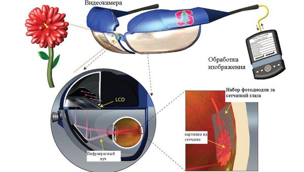  Схема работы искусственной сетчатки глаза, разработанной американскими биотехнологами