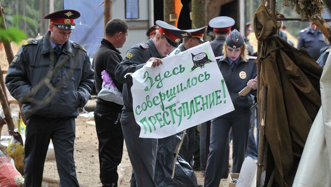 Ситуация в Цаговском лесу