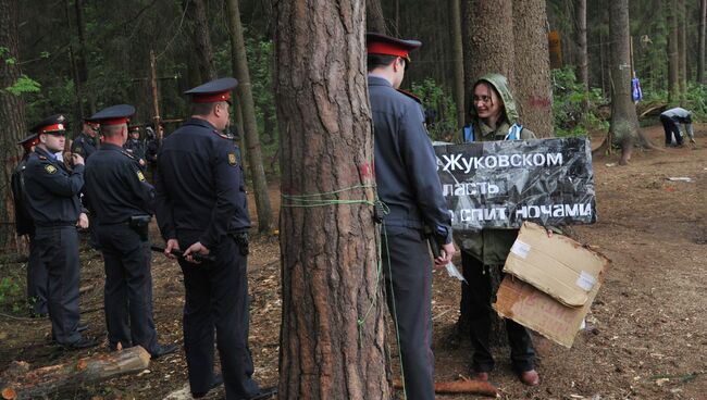 Ситуация в Цаговском лесу