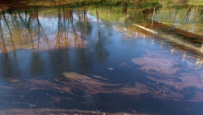 Разлив нефти в Новгородской области. Архивное фото