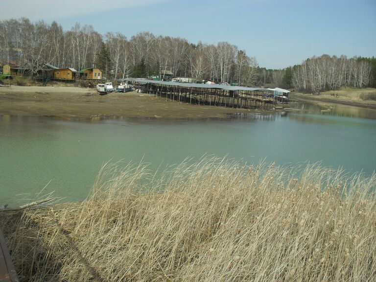 Бердск река мост вода