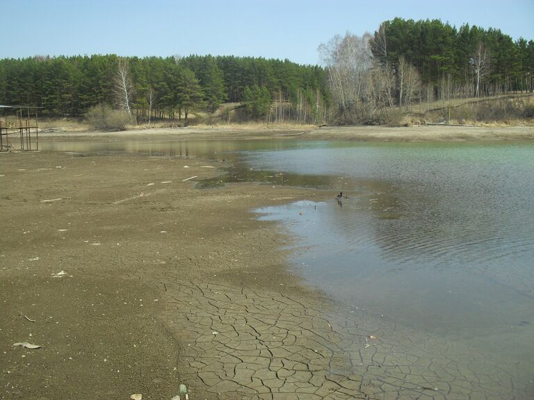 Бердск река мост вода