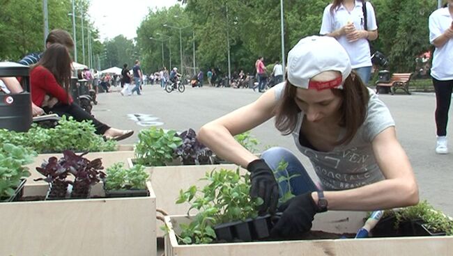 Передвижные клумбы и поделки из мусора: Зеленая неделя в парке Горького