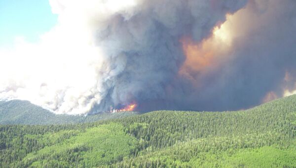 Лесные пожары в американском штате Нью-Мексико