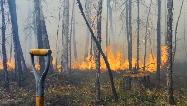 Крупный природный пожар площадью 450 гектаров бушует в Якутии