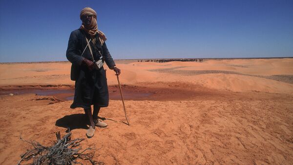Сможет ли Сахара перестать быть пустыней - Российская газета
