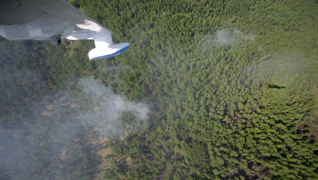 Тушение лесных пожаров в республике Тыва