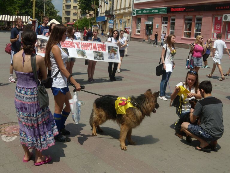 Марш в защиту бездомных животных на Украине