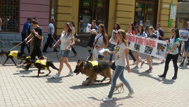 Марш в защиту бездомных животных на Украине