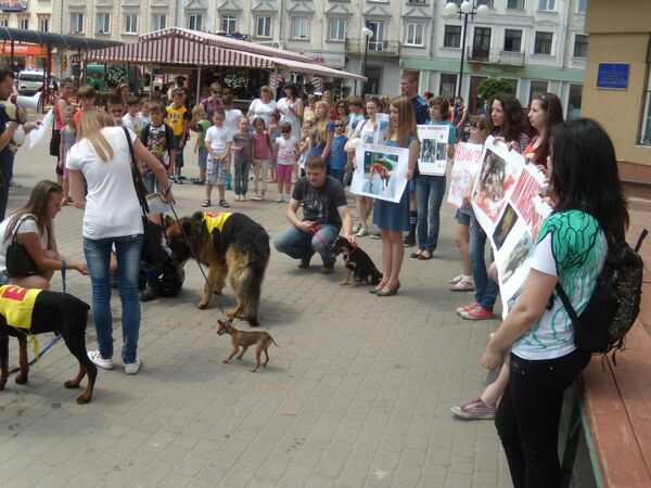 Марш в защиту бездомных животных на Украине