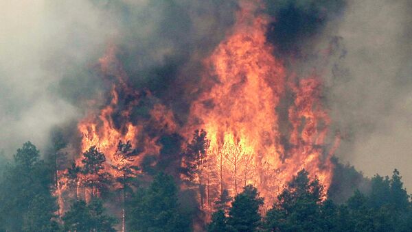 Природный пожар в Колорадо, США