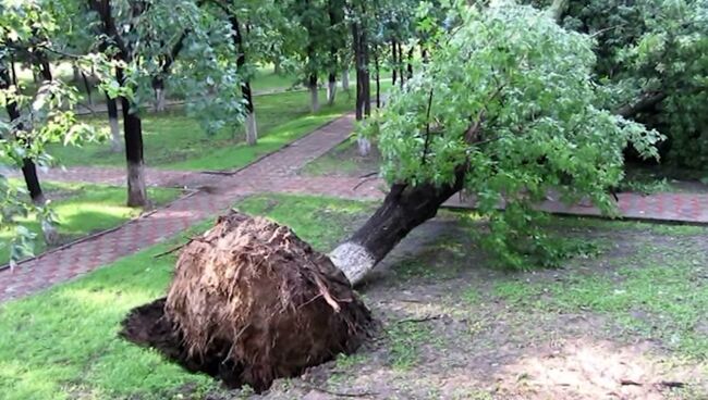 Ураган в Москве