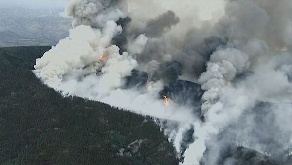Дым от лесного пожара в Колорадо гигантскими клубами поднимается к небу