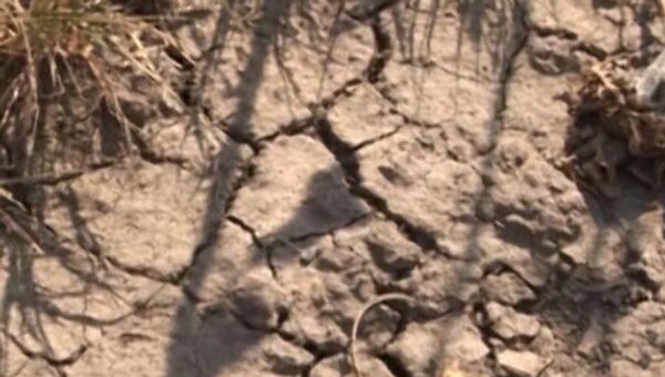Почвенная засуха в Калмыкии. Архивное фото