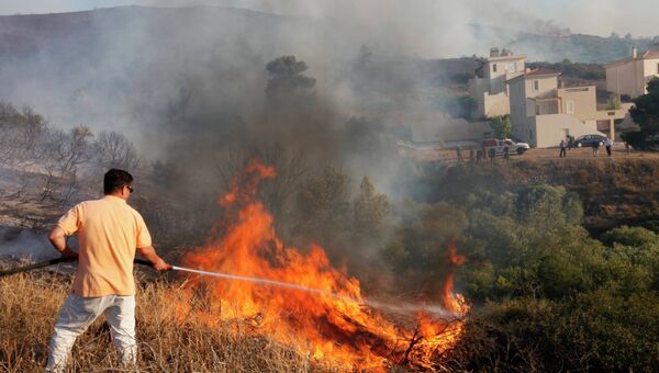 Мощные лесные пожары тушат близ Афин в ночь перед выборами