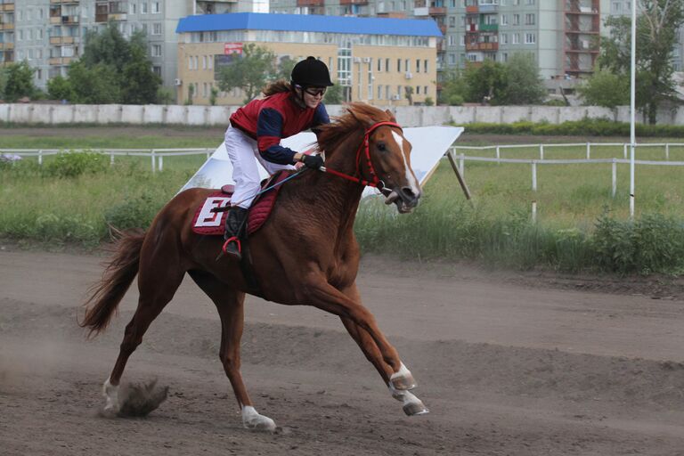 Соревнования по конному спорту прошли на омском ипподроме	