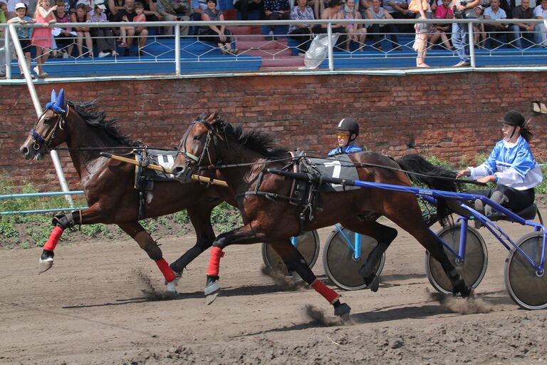 Соревнования по конному спорту прошли на омском ипподроме