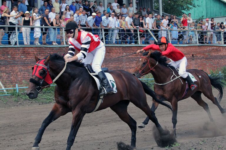 Соревнования по конному спорту прошли на омском ипподроме