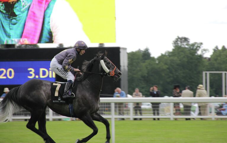 Королевские скачки Royal Ascot