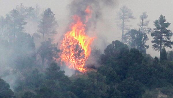 Природный пожар к западу от Колорадо-Спрингс в США