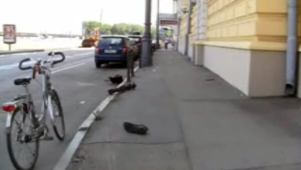Nissan Teana сбил двух пешеходов на Раушской набережной в Москве