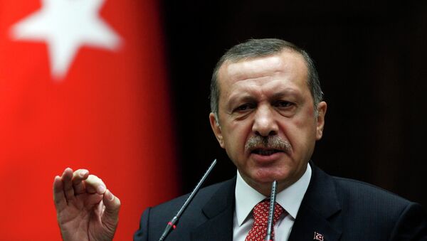 Турция настаивает, что ее самолет был сбит Сирией