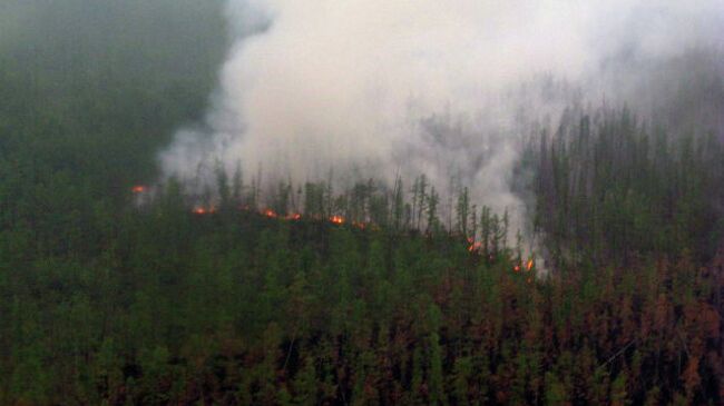 Лесной пожар в Якутии. Архивное фото
