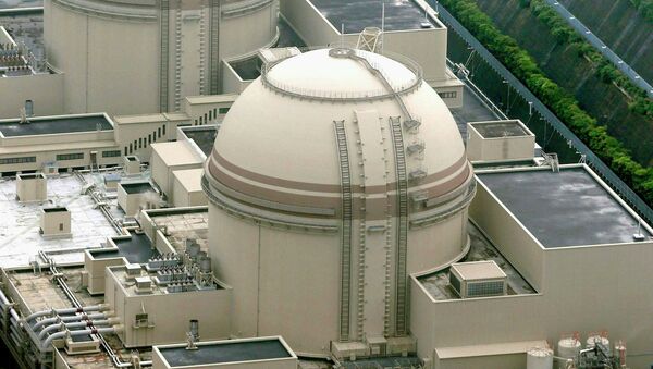 АЭС Оои в Японии. Архивное фото