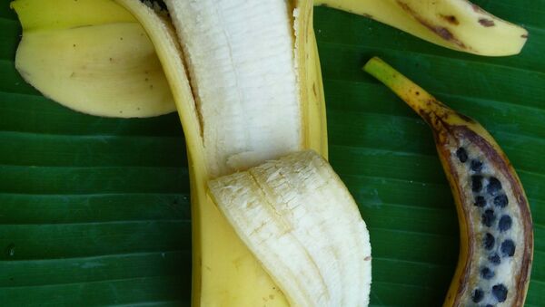 Плод сортового банана и его дикого родственника Musa acuminata