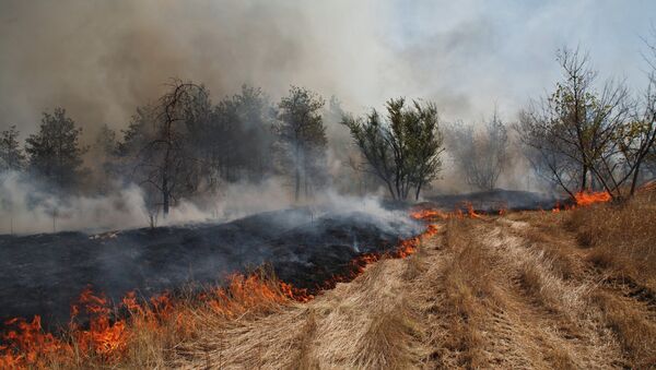 Тушение природного пожара в Волгоградской области, архивное фото