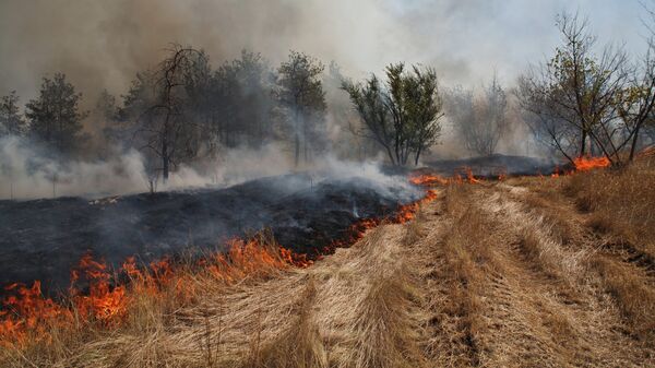 Тушение природного пожара в Волгоградской области, архивное фото