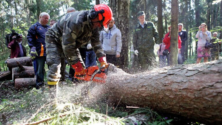 Сергей Шойгу принял участие в Дне леса в Красногорске