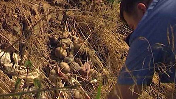 Оперативники осматривают найденные бочки с человеческими эмбрионами в лесу близ города Невьянска Сведловской области