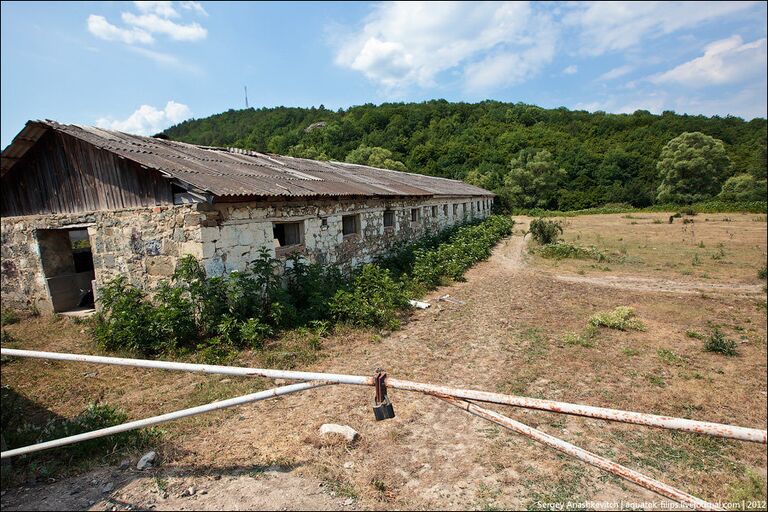 Село Счастливое: репортаж из заброшенного уголка крымского предгорья