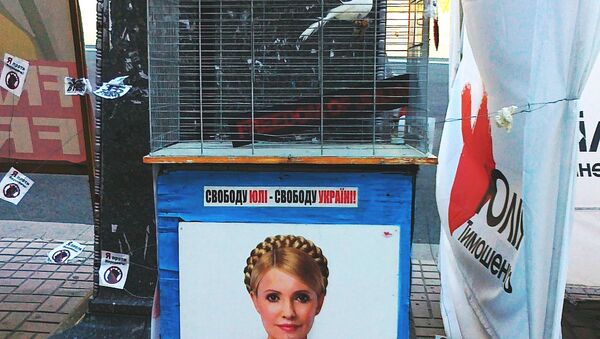 Птичка в клетке: сторонники Тимошенко открыли фотовыставку возле суда