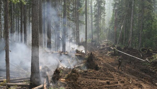 Тушение лесных пожаров в Красноярском крае, архивное фото