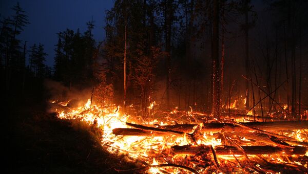 Тушение лесных пожаров в Красноярском крае. Архивное фото