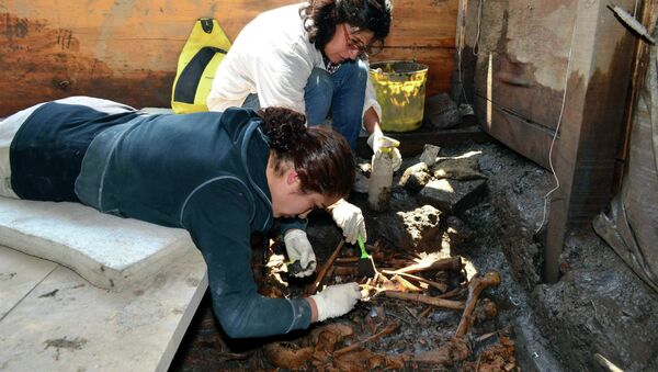 Мексиканские археологи на раскопках в храмовом комплексе Темпло Майор, где было обнаружено захоронение племени ацтеков