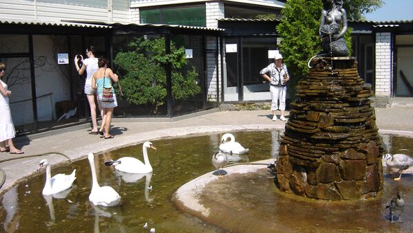 Белгородская область зоопарк птицы