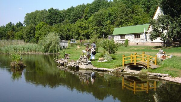 Баня, грибы и озера: сельский туризм в Белогорье