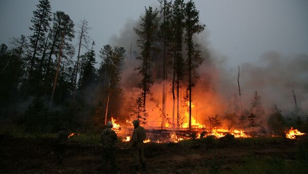 Тушение лесных пожаров, фото из архива