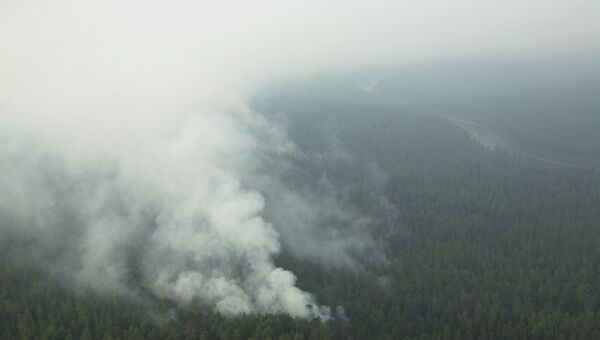 Тушение лесных пожаров в Красноярском крае, архивное фото