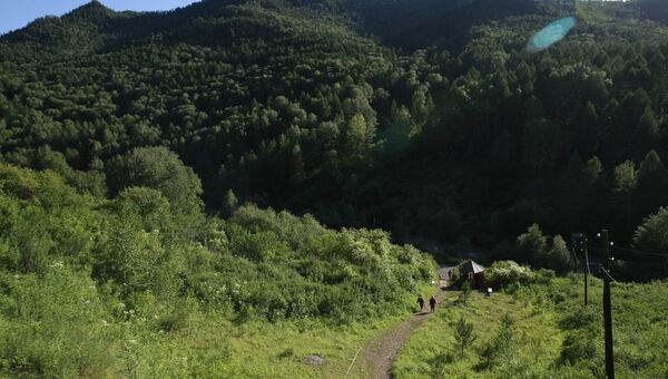 Долина реки Ануй, где расположена Денисова пещера. Архивное фото