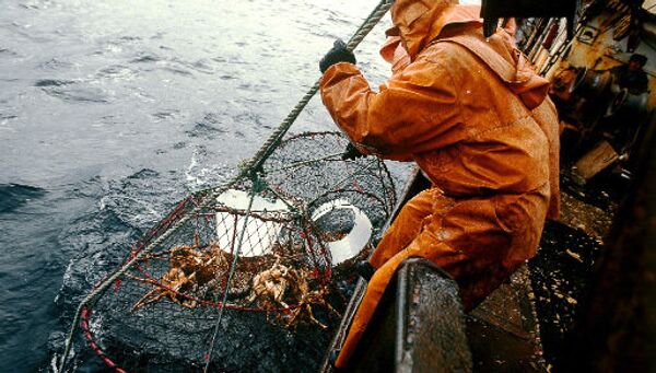 Источником отравления людей в Приморье стали зараженные морепродукты
